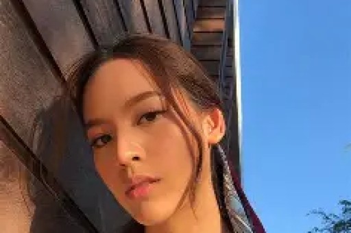 -2026最新版vv